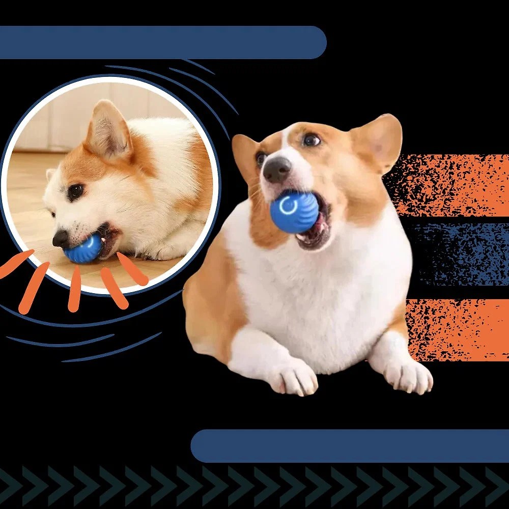 interactive-obstacle-avoiding-dog-ball-41191909_4.jpg