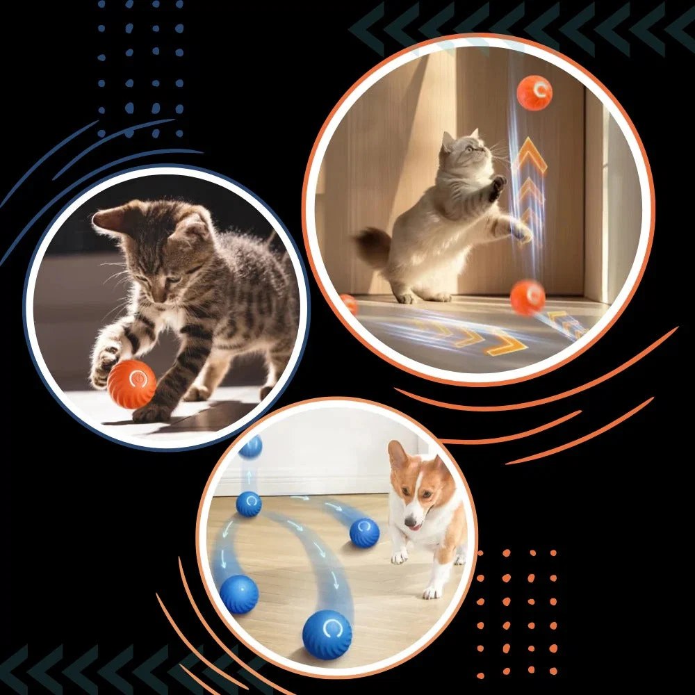 interactive-obstacle-avoiding-dog-ball-41191909_3.jpg