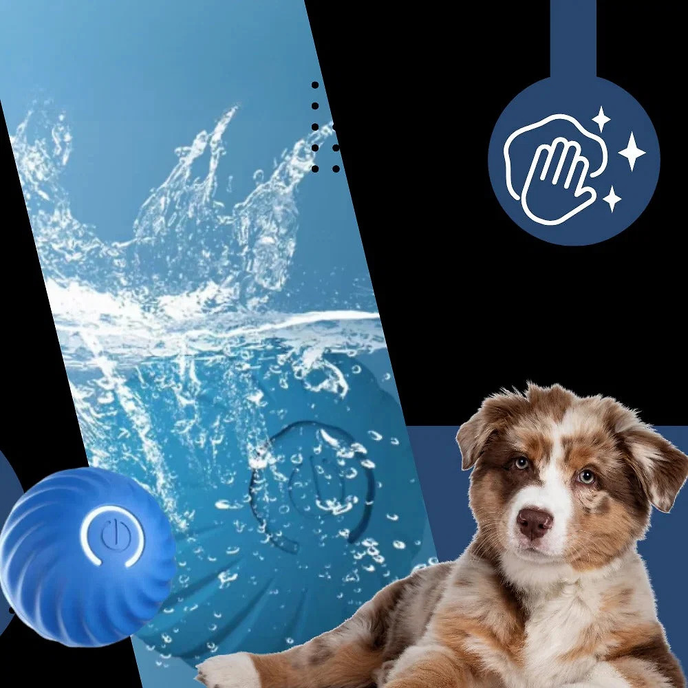 interactive-obstacle-avoiding-dog-ball-41191909_7.jpg