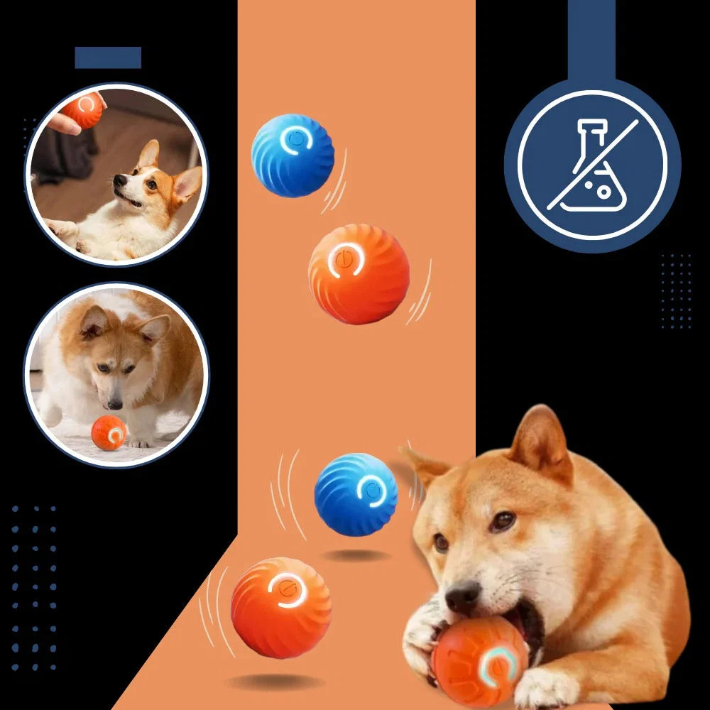 interactive-obstacle-avoiding-dog-ball-41191909_5.jpg